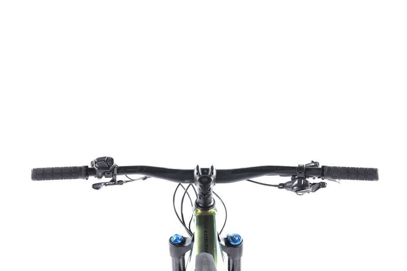 Giant Reign E+ 1 Pro (2020) | Diamant | grün | M | > 4000 km 3