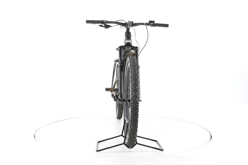 Giant Stance E+ EX 2024 | grijs | 28" | L | >3000 km 3