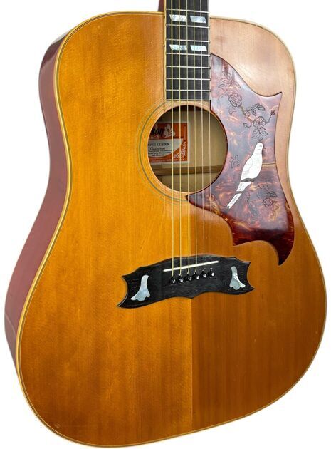Gibson Dove Custom Akustisk 1973-1975