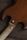 Gibson SG Tribute 2022 | valnöt | Valnöt, thumbnail 5 of 5