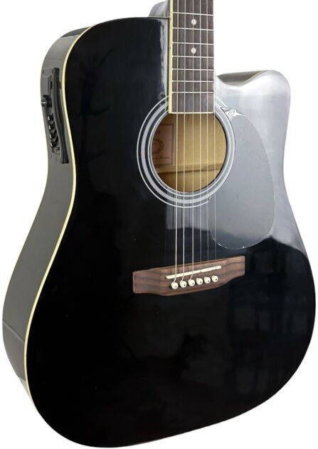 Golden Ton Akustisk gitarr