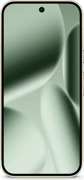 Google Pixel 10 Pro 256 GB Jade Dual-SIM (eSIM, Nano-SIM) – refurbed