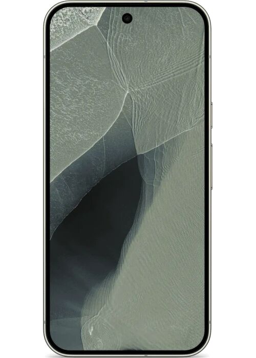Google Pixel 11 Pro XL 12 GB 256 GB Dual-SIM Olive