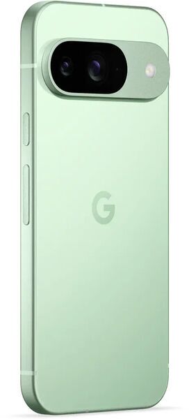 Google Pixel 9 | 256 GB | Dual-SIM | Wintergreen 2