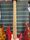 Grassroots Tetsuya Signature 5 String Active Electric Bass Guitar | Original, thumbnail 5 of 5