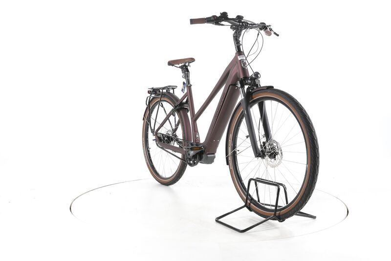 Grecos Eli 2.4 2022 | marrone | 28" | 50 cm | < 500 km, image 2 of 4