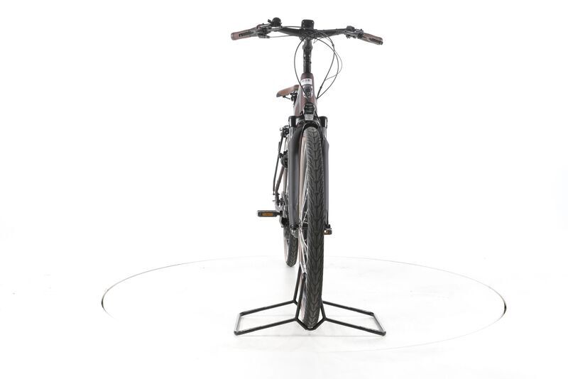Grecos Eli 2.4 2022 | marrone | 28" | 50 cm | < 500 km, image 3 of 4