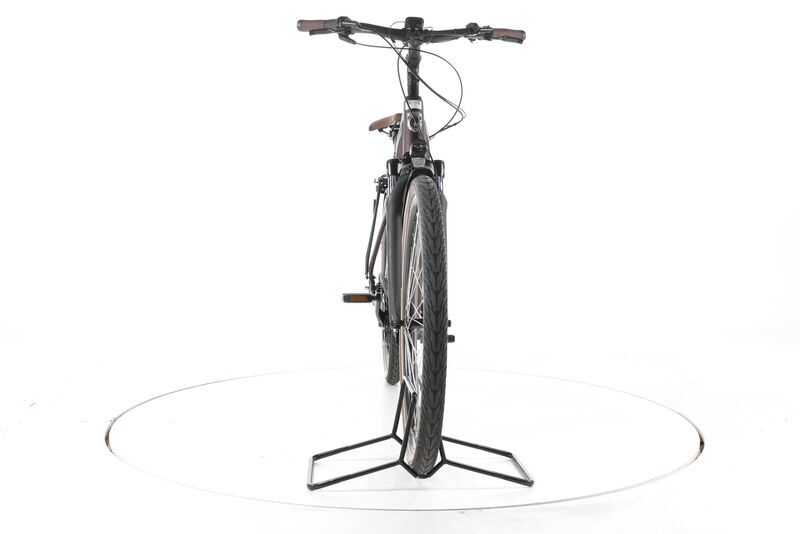 Grecos Eli 2.4 2023 | violeta | 28" | 50 cm | < 500 km, image 4 of 5