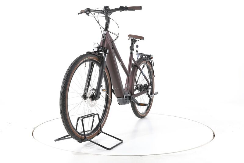 Grecos Eli 2.4 2023 | violeta | 28" | 50 cm | < 500 km, image 5 of 5