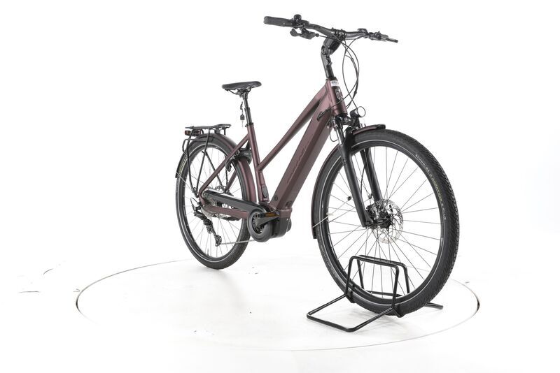 Grecos Eli 2.6 2022 | marron | 28" | 50 cm | 500 - 3000 km, image 3 of 5