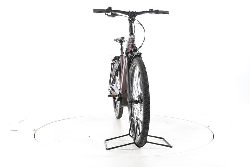 Grecos Eli 2.6 2022 | marron | 28" | 50 cm | 500 - 3000 km, image 4 of 5