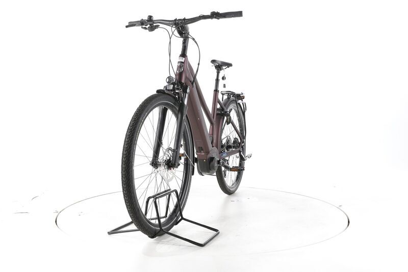 Grecos Eli 2.6 2022 | marron | 28" | 50 cm | 500 - 3000 km, image 5 of 5