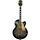 Gretsch 6120DE Duane Eddy Signature 1997 - Ebony Burst | Ebony Burst, thumbnail 2 of 4
