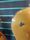 Gretsch Electromatic G5235T Gold Sparkle 2007 Electric Guitar | Gold Sparkle, thumbnail 5 of 5