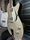 Gretsch G5236 Electromatic Pro Jet Silver Sparkle 2010 Electric Guitar | Silver Sparkle, thumbnail 5 of 5