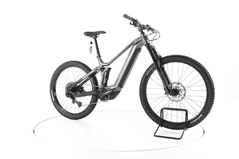 Haibike AllMtn 2 2024 | grey | 29"/27,5" | 50 cm | 500 - 3000 km 1