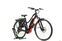 Haibike SDURO Trekking 2.0 (2021) | Step-Through | black/red/white | 28" | 47 cm | 100 - 500 km thumbnail 2/5