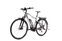 Haibike SDURO Trekking 3.0 (2019) | Diamond | grey | 28" | 52 cm | 100 - 500 km thumbnail 3/4