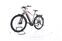 Haibike SDURO Trekking 4.0 (2020) | Diamante | bronzo/nero/rosso | 27.5" | 48 cm | 2000 - 3000 km thumbnail 4/5
