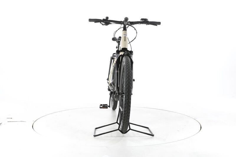 Haibike Trekking 4 2021 | beige | 28" | L | 500 - 3000 km, image 3 of 4