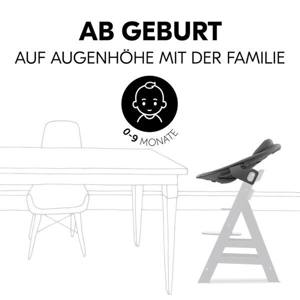 Hauck Alpha Bouncer Premium 2in1 | grau 2