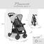 Hauck Shopper Neo II Buggy | grau thumbnail 2/2