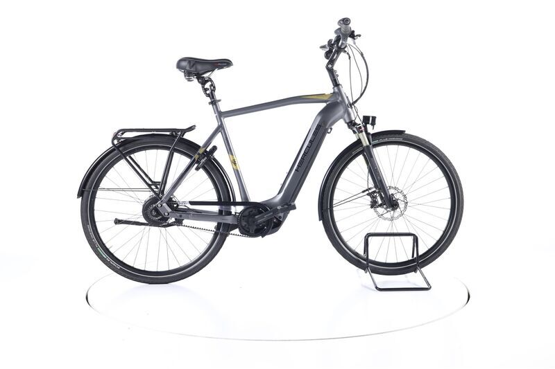 Hercules Futura Pro I-F360 (2020) | Diamant | grau/gold | 28" | 61 cm | 100 - 500 km 1