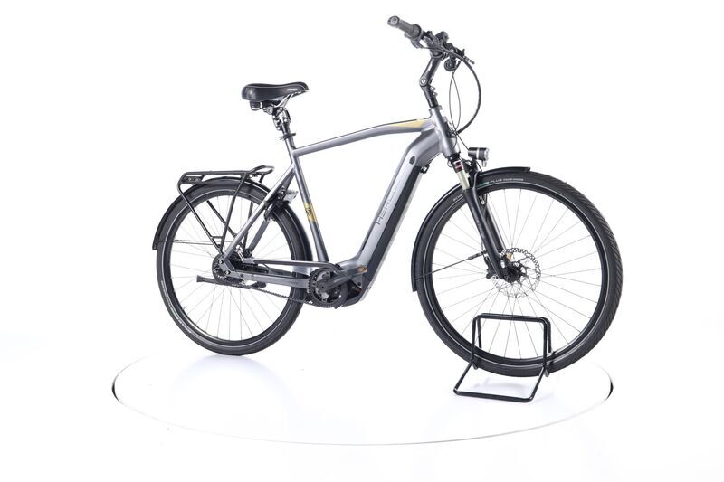 Hercules Futura Pro I-F360 (2020) | Diamant | grau/gold | 28" | 61 cm | 100 - 500 km 2