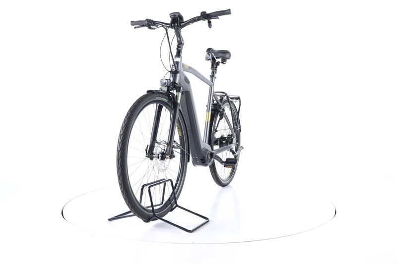 Hercules Futura Pro I-F360 (2020) | Diamant | grau/gold | 28" | 61 cm | 100 - 500 km 4