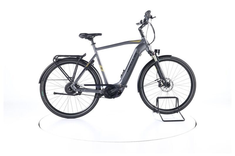 Hercules Futura Pro I-F360 (2021) | Diamant | grau | 28" | 61 cm | 500 - 1000 km 1