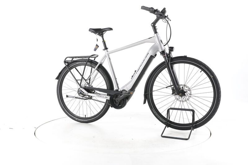 Hercules Pasero Comp I-F5 2022 | silver | 28" | 58 cm | 500 - 3000 km, image 2 of 5