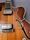 Hofner Committee Thinline 1964 | brunette, thumbnail 5 of 5
