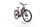 HoheAcht Pasia Terra 2023 | red | 29" | 42 cm | > 3000 km, thumbnail 3 of 5