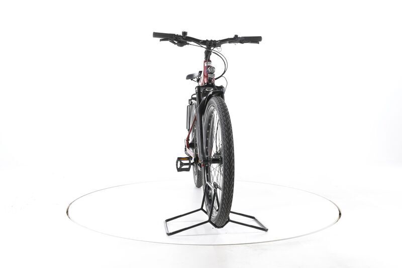 HoheAcht Pasia Terra 2023 | red | 29" | 42 cm | > 3000 km, image 4 of 5