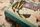 Hokusai Višejezičan | Bijela, thumbnail 2 of 4