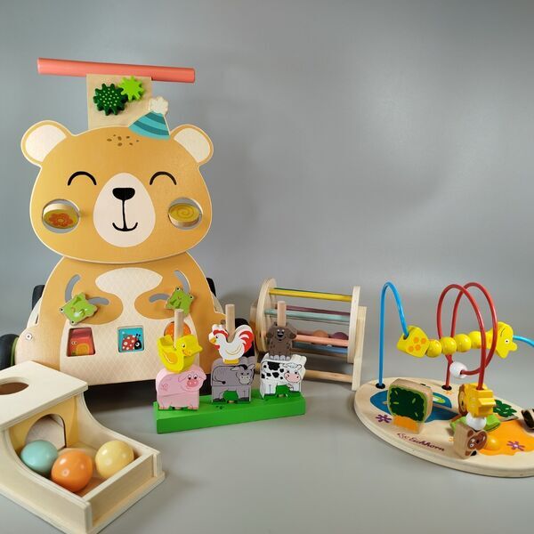 Holz Motorikspielzeug-Set | 5-teilig | multicolored 1