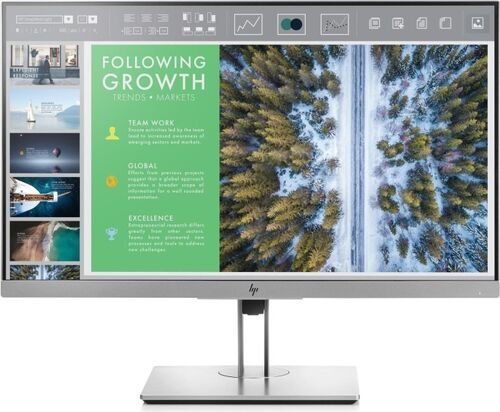 Väldigt bra: HP EliteDisplay E243 | 23.8" | svart/silver | med stativ