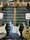 Ibanez AZ2204-ICM Ice Blue Metallic 2018 Electric Guitar | Blue Metallic, thumbnail 2 of 5