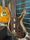 Ibanez BTB1805 Natural Low Gloss 2017 5-String Electric Bass Guitar | Natural Gloss, thumbnail 5 of 5