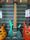 Ibanez Q547 Blue Chameleon 2023 Headless 7-String Electric Guitar | blue, thumbnail 2 of 5