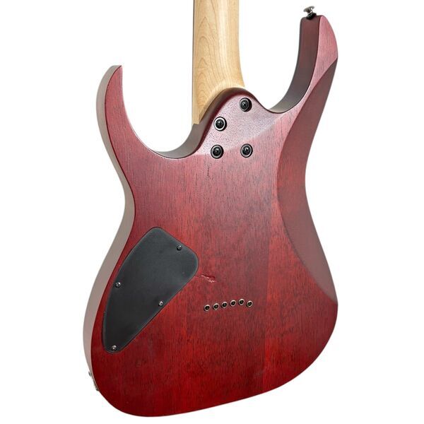 Ibanez RG421PB 2022 - Caribbean Shoreline Flat | original, image 5 of 5