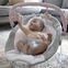 Ingenuity Flora the Unicorn Babywippe | rosa thumbnail 2/2