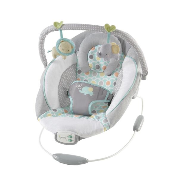 Ingenuity Morrison Babyschaukel | multicolored 1