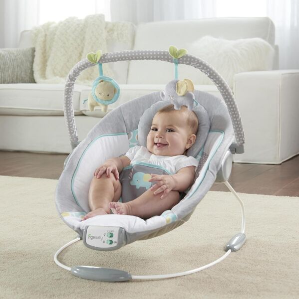 Ingenuity Morrison Babyschaukel | multicolored 3