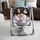 Ingenuity Swing'n Go Hugs & Hoots Babywippe | grey thumbnail 2/3