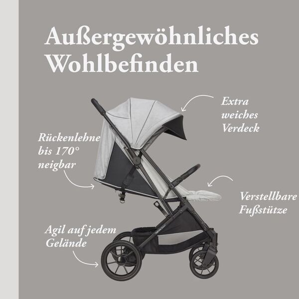 Inglesina Zenit Kinderwagen | grey 2