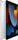 iPad 9 (2021) | 10.2" | 256 GB | silver | WiFi + 4G, thumbnail 2 of 4