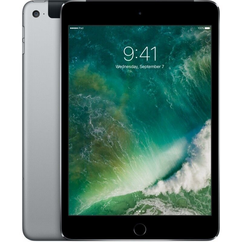 iPad mini (2015) | 7.9" | 64 GB | WiFi + 4G | spacegrey
