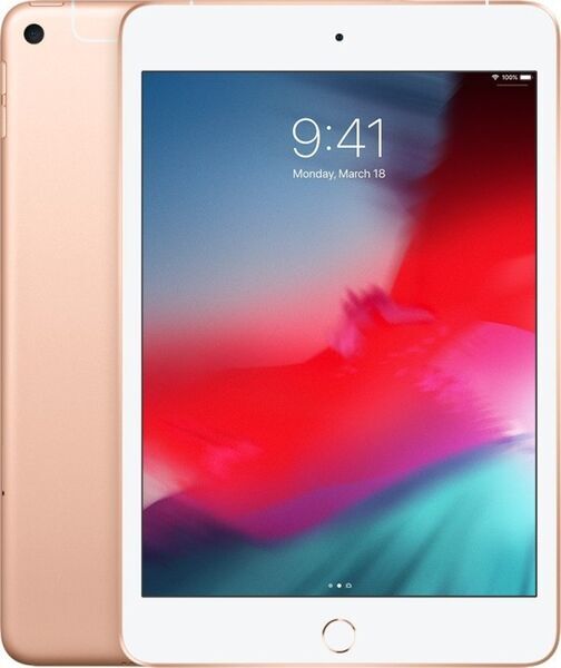 iPad mini 5 (2019) | 7.9" | 64 GB | dourado