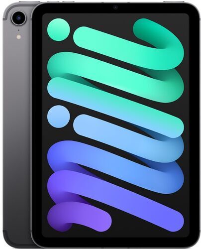 iPad mini 6 (2021) | 8.3" | 256 GB | space gray | 5G